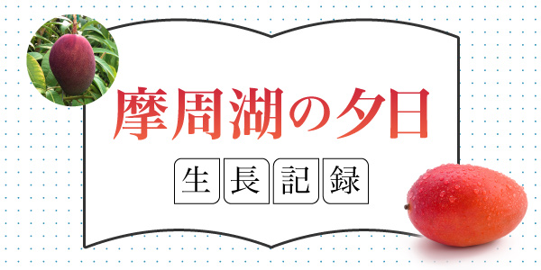 摩周湖の夕日成長記録