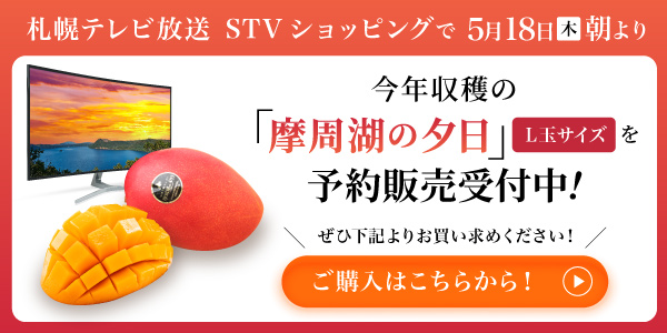 札幌テレビ放送　STVショッピングで5月18日（木）朝より今年収穫の「摩周湖の夕日」L玉サイズを予約販売受付中！ぜひこちらからお買い求めください！
